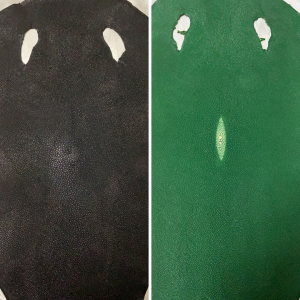 Stingray Skins - Image 4