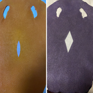 Stingray Skins - Image 5