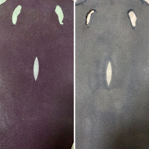 Stingray Skins - Image 6