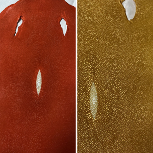 Stingray Skins - Image 7