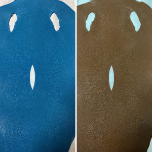 Stingray Skins - Image 8