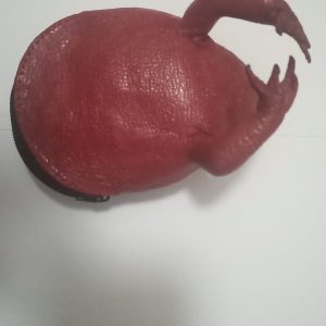 Toad coin purse with legs