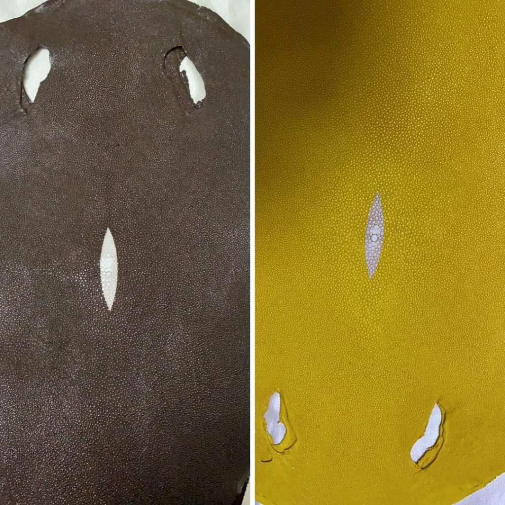 Stingray skins in chocolate and canary yellow