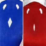 Stingray skins in fire red and blue diamond